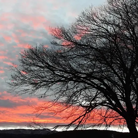 农家乐 La Casina Rosa *