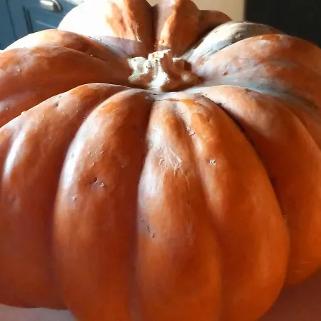 农家乐 La Casina Rosa *