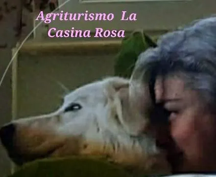 Alojamento de Turismo Rural La Casina Rosa