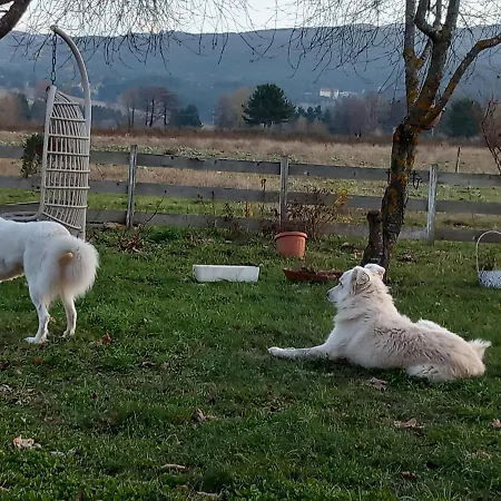 Alojamento de Turismo Rural La Casina Rosa Camigliatello Silano