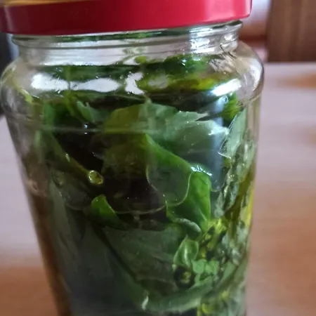 La Casina Rosa * 卡迈格拉特罗希拉诺