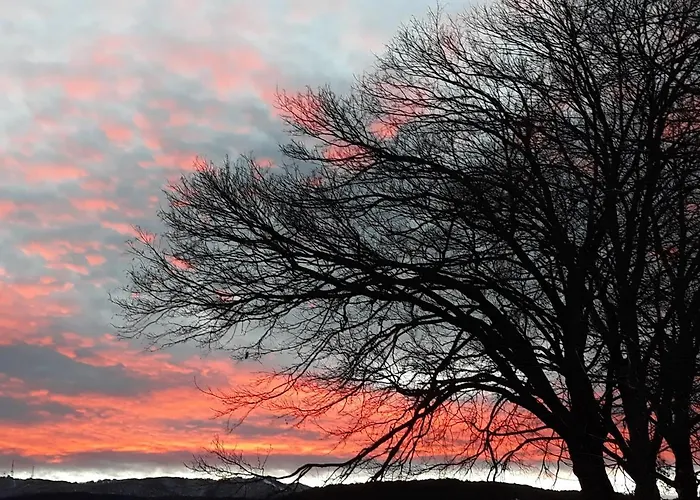 Alojamento de Turismo Rural La Casina Rosa *