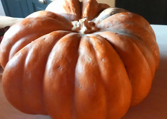 Alojamento de Turismo Rural La Casina Rosa *