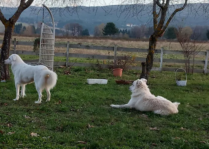 Alojamento de Turismo Rural La Casina Rosa Camigliatello Silano