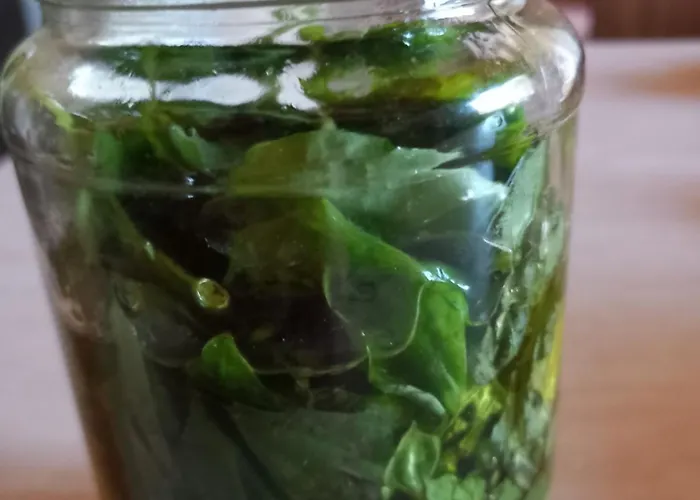 La Casina Rosa * Camigliatello Silano